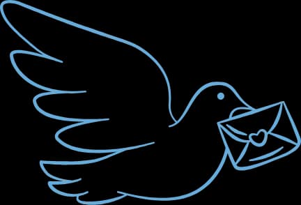 Bird Illustration