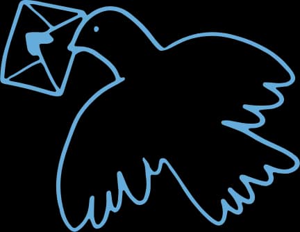 Bird Illustration