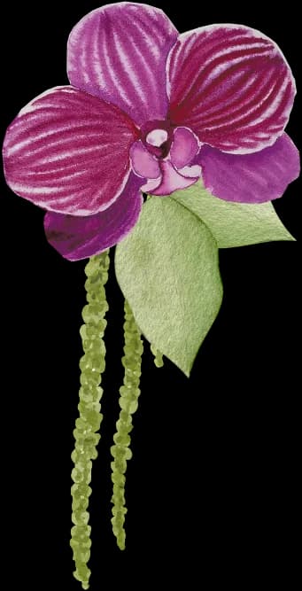 Orchid